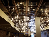 SilverStar-USA-Ceiling-Tiles-1