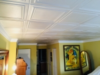 SilverStar-USA-Ceiling-Tiles-28
