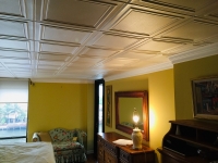 SilverStar-USA-Popcorn-Ceiling-Solution-65